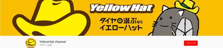  고양이용 교통안전 비디오 있다?! :: 집사분들 주목!!!!