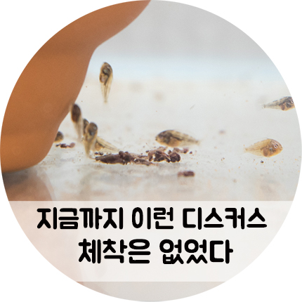 지금까지 이런 디스커스 체착은 없었다. 실패인가 성공인가?