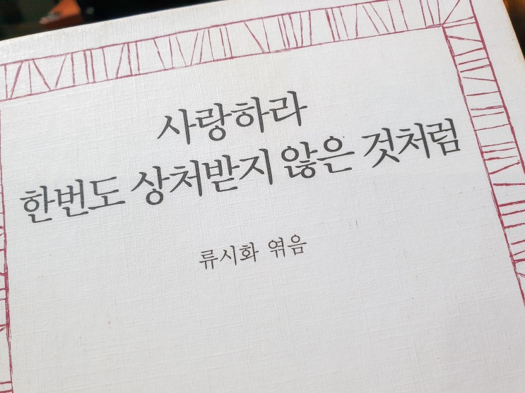  사랑하라 한번도 상처받지 않은 것처럼 - 류시화
