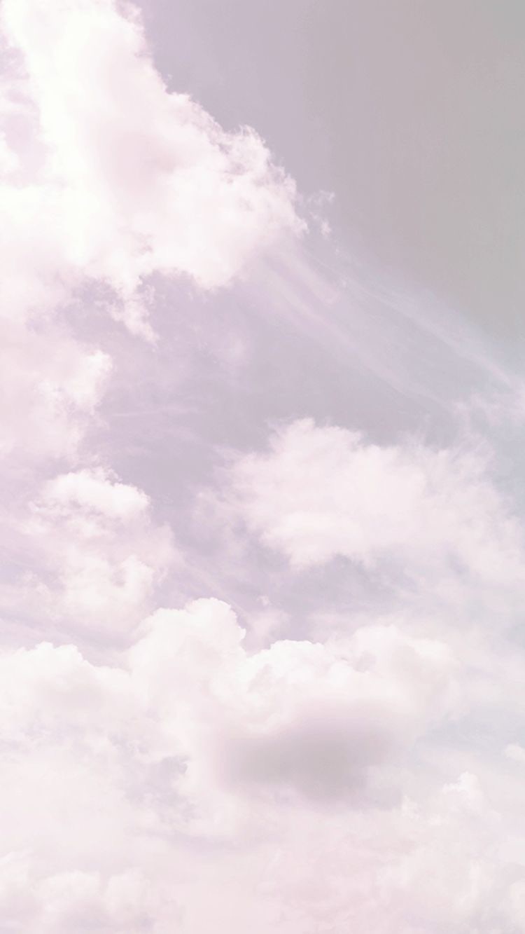 괌 텀블러 | TikTok, image size:750x1333