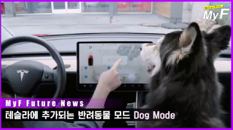 테슬라에 추가되는 반려동물  도그모드Dog Mode