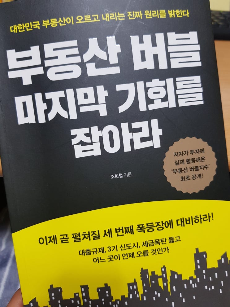  [서평]부동산 버블 마지막 기회를 잡아라 -조현철