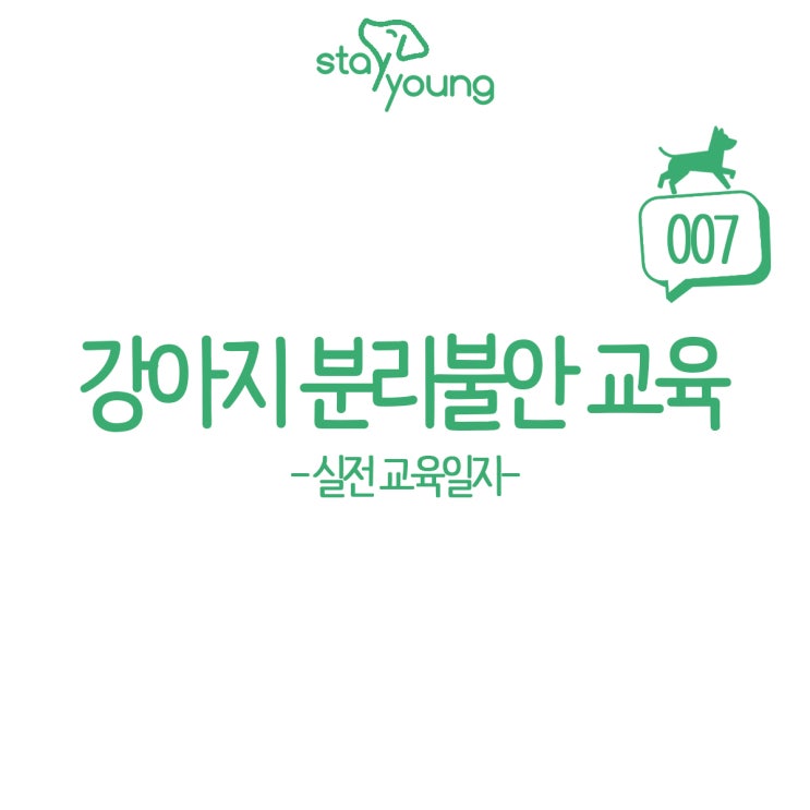  강아지 분리불안 교육 방법은 누구나 알고 있다.