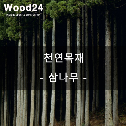  천연목재 알아보기 - 삼나무편