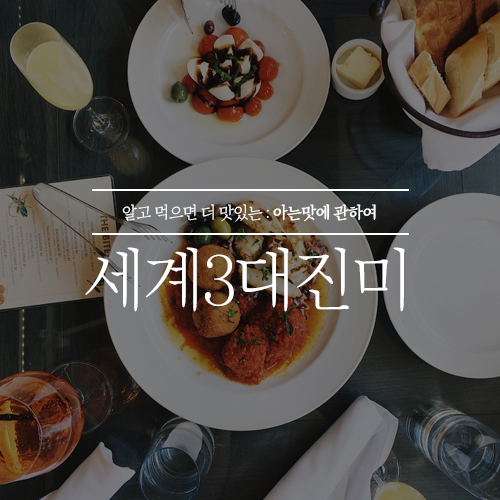  세계 3대 진미 귀한 몸들을 알아보자!