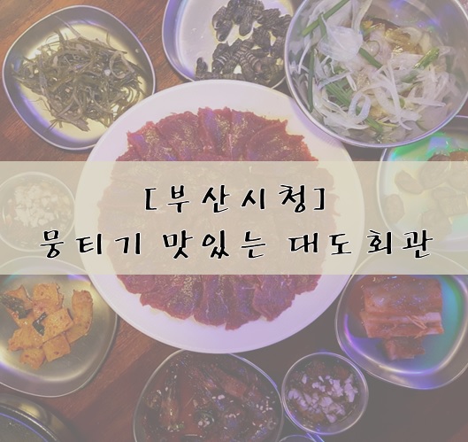  [부산 시청] 대구 뭉티기를 부산에서도! 입에서 살살 녹는 생고기!부산 시청 대도회관(feat. 차돌삼합)