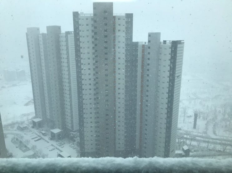 지난주~~ 원주날씨 눈이 내렸어요  겨울 막바지!