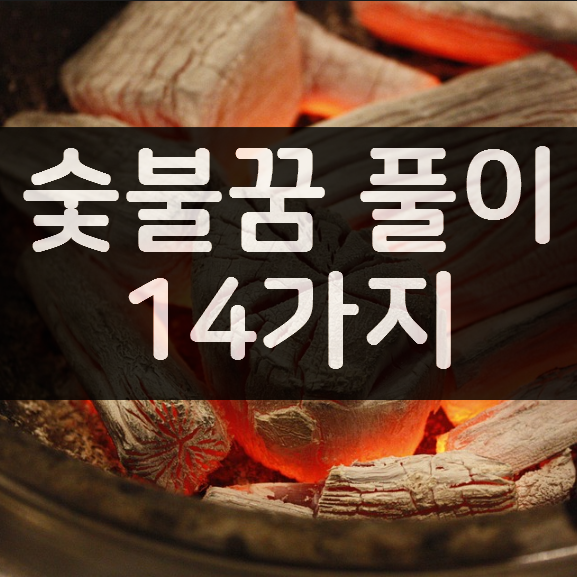 숯불꿈 풀이 14가지 정리 숯불꿈 풀이 14가지 정리