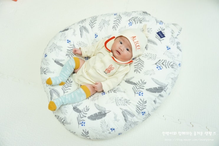  아기바디슈트 베베드피노 엘리스,입으니 더 예쁘네 !