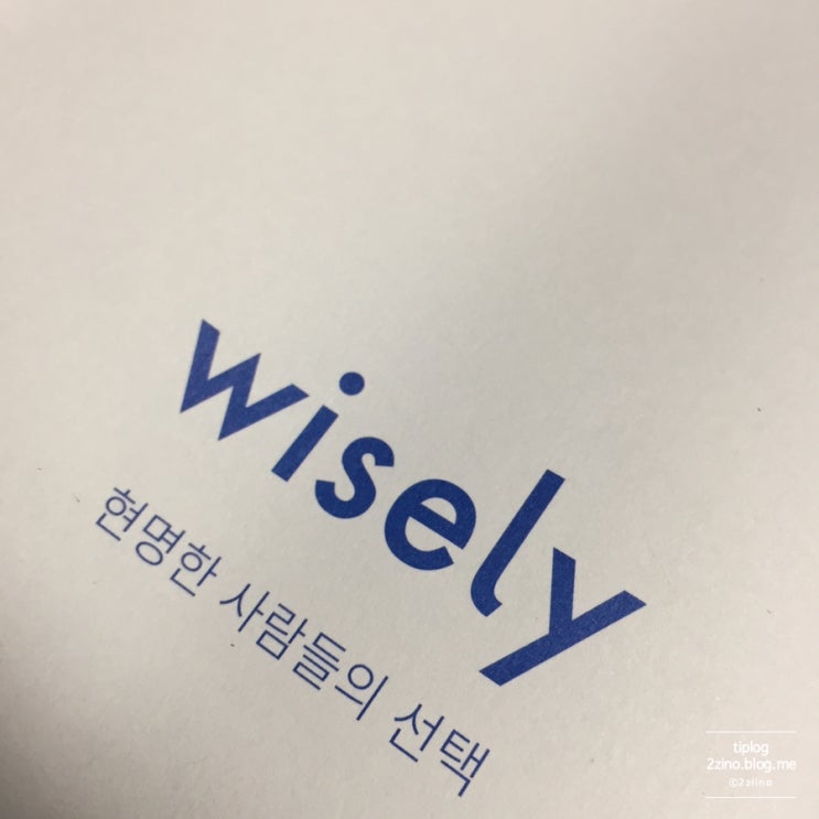  [일상]Wisely(와이즐리) 면도기 리뷰