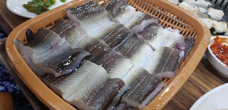 [거제도 맛 집] 수월 노다지 장어 바닷장어 몸보신해볼까?