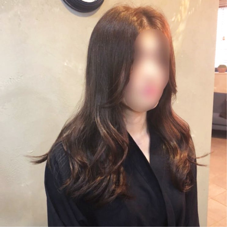  제주시청 인근 새봄맞이 펌하기 좋은 미용실 할인쿠폰!
