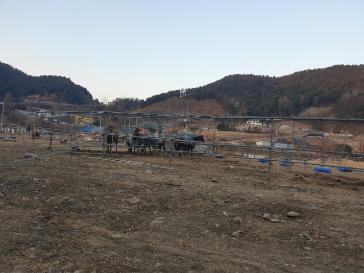  21살's daily :: 나의 가장 소중한 DCBS 친구들