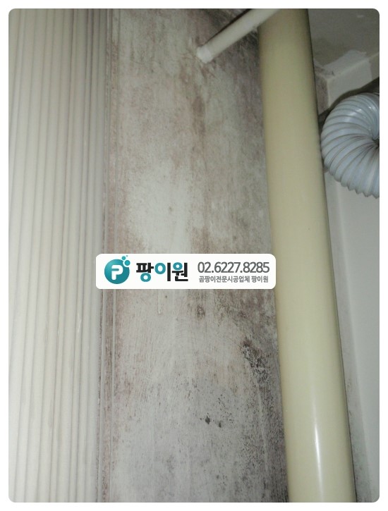  베란다 곰팡이제거업체 찾는다?