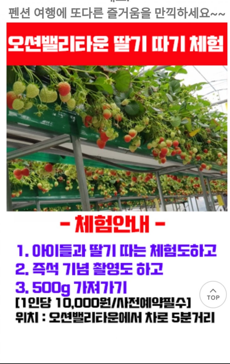  #대부도오션벨리타운 #워크샵전문펜션, #온수수영장, #풀빌라펜션, #대형수영장