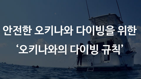  [오키나와 다이빙] 오키나와에서는 오키나와의 룰을~ 오키나와의 다이빙 규칙