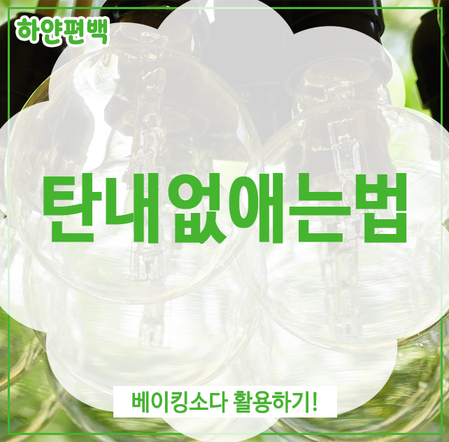  탄내없애는법, 베이킹소다 활용하기!