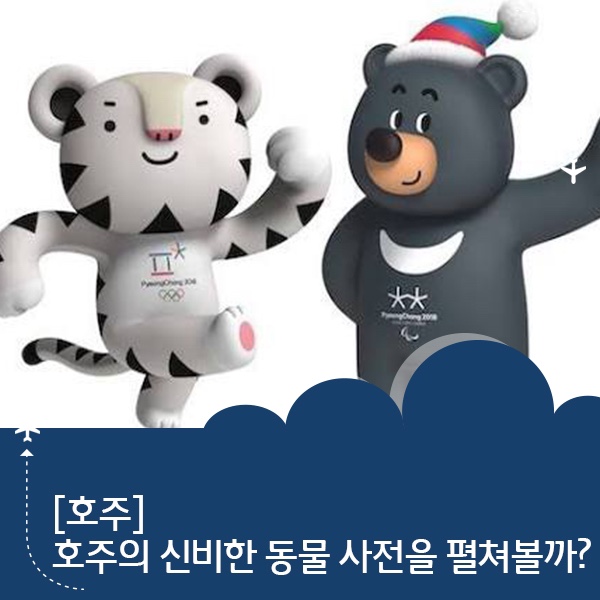  호주의 신비한 동물 사전! 함께 펼쳐볼까요?
