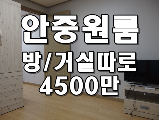  안중 1.5룸 투베이 전세 다이소 1분거리 안중파출소 1분거리