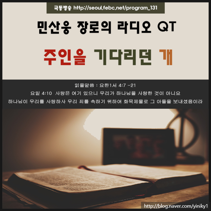 반려견이 주인을잊지못하는이유 반려견이 주인을잊지못하는이유