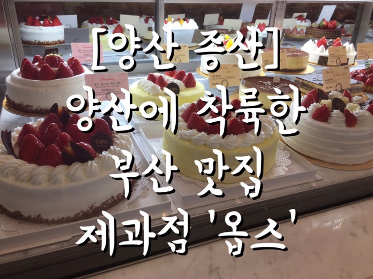  [양산 증산] 드디어 양산에도 착륙한 부산 맛집 '옵스' 제과점