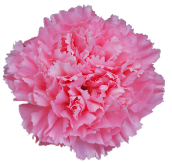  *할인쿠폰* 태국 방콕 호텔 - 더 버클리 호텔 빠뚜남 (The Berkeley Hotel Pratunam)