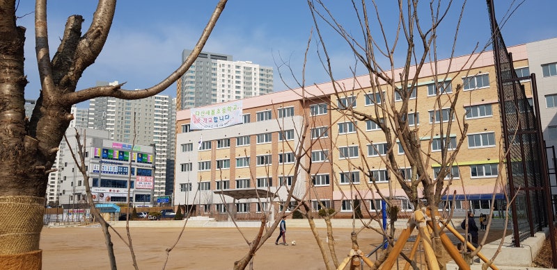 다산새봄유치원 이미지