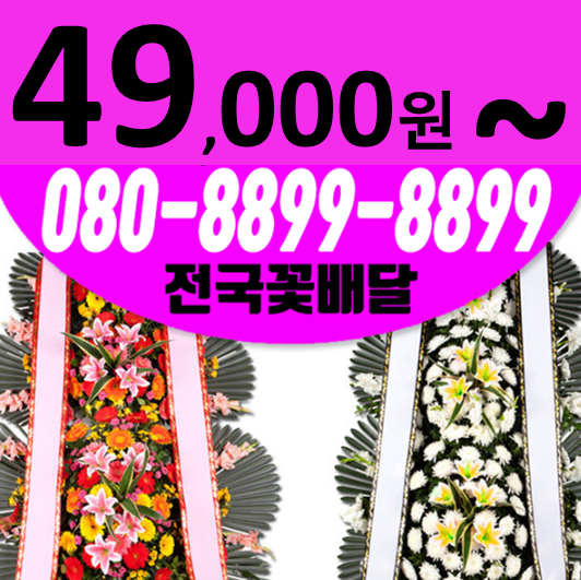  대구K케이마디병원장례식장 꽃배달부고근조화환 노원동근처 꽃집축하화환24시간접수무료배송