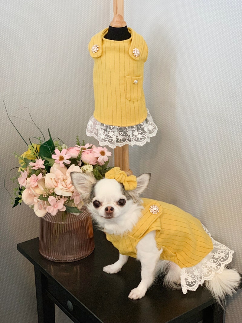 행복한 강아지 그림 PNG 일러스트 | 이미지 및 PSD 파일 | Pngtree에 무료 다운로드, image size:800x1066