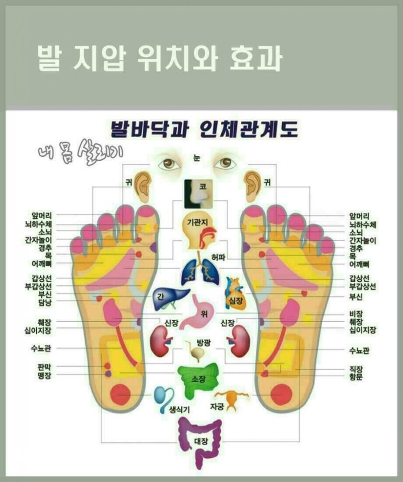 발지압 위치와 효과 : 네이버 블로그