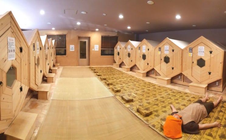  세종시찜질방 새숨 봄 힐링 여행 추천 커플 가족 친구 이색데이트 충청 청주 천안 부여 공주맛집 대전계룡 동학사 주말 실내 야간 근교 놀거리 볼거리 가볼만한곳 카페