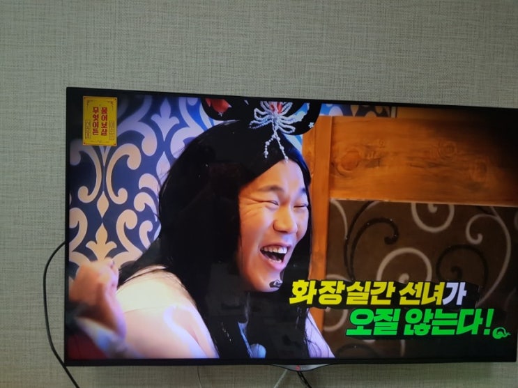  [풀영상]이수근 서장훈 무엇이든물어보살 왜케 잼있음?