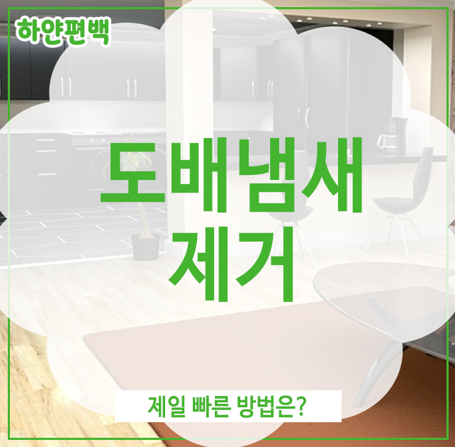  도배냄새제거, 제일 빠른 방법은?