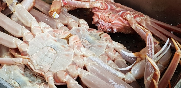  [포항 대게] 구룡포 대게 유통센타 집에서 대게 해 먹자! 꿀맛 보장