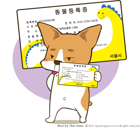  #078/ 내 반려동물을 사랑하는 방법, 반려동물 등록하기