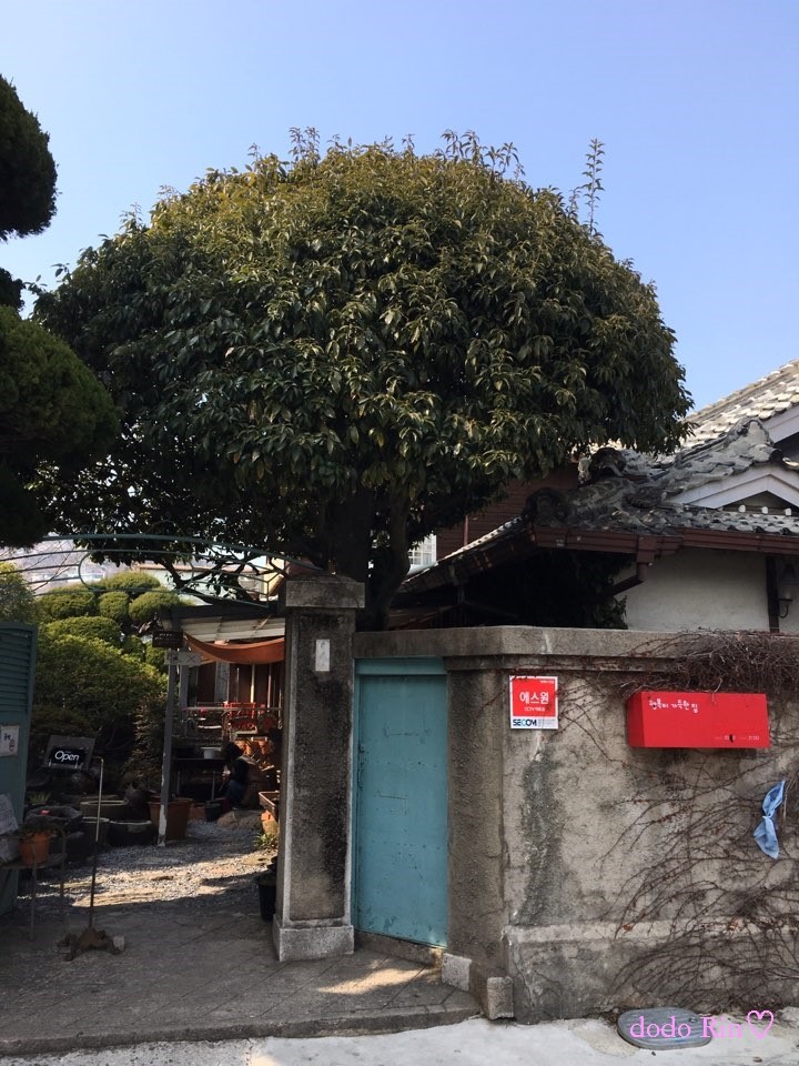  목포카페 행복이 가득한집 / 목포 적산가옥카페 / 배틀트립목포 / 탈라 크리스톡스마린느,라리미드 제로짐크림 공구중 / 도도린