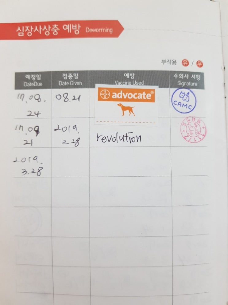 천안 엔젤 동물 병원에서 보리 백신 접종을 하다