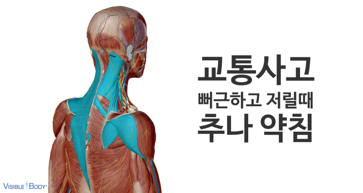영통교통사고 병원-야간진료, 주차완비(수원영통새움한의원) 영통교통사고 병원-야간진료, 주차완비(수원영통새움한의원)