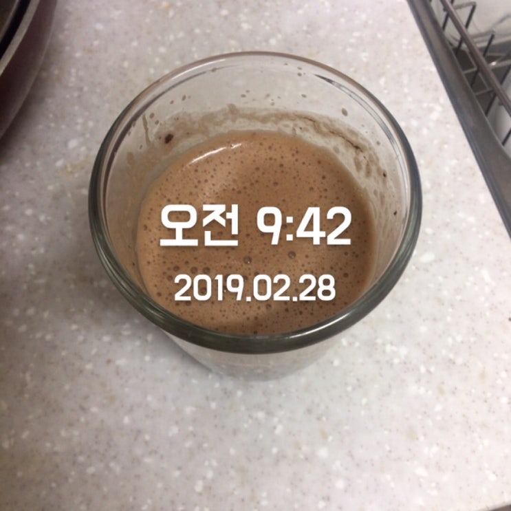  강행군의 끝! day 10...20190228