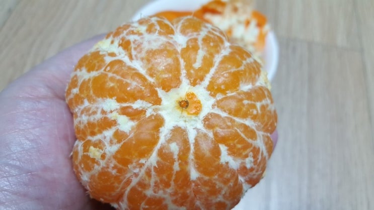  귤로장생 레드향 / 귤로장생 제주 햇 레드향 2kg x 3박스 / 공영홈쇼핑 / 공영쇼핑