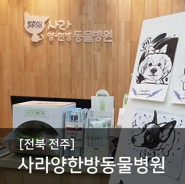  '조이풀존' 전북 전주 강아지수중재활의 메카 전주사라양한방동물병원을 소개합니다.