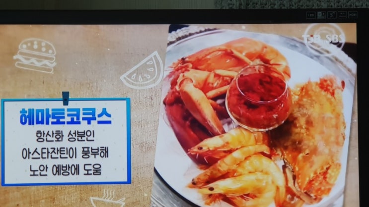  좋은 아침 중년 실명 대표질환 녹내장 수면법과 눈 건강 지켜줄 맛있는 비책 헤마토코쿠스