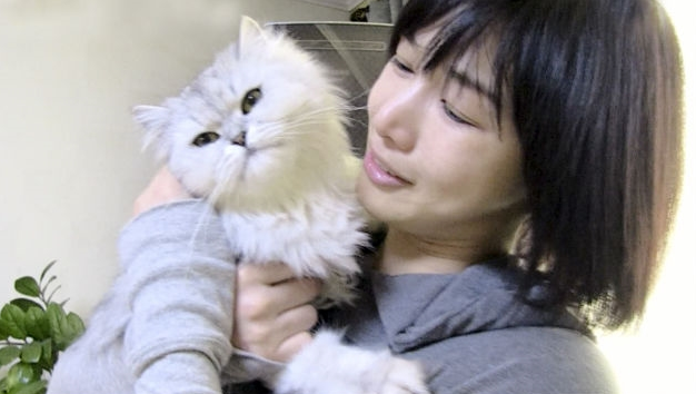  선우선고양이에 대해서 알아보자