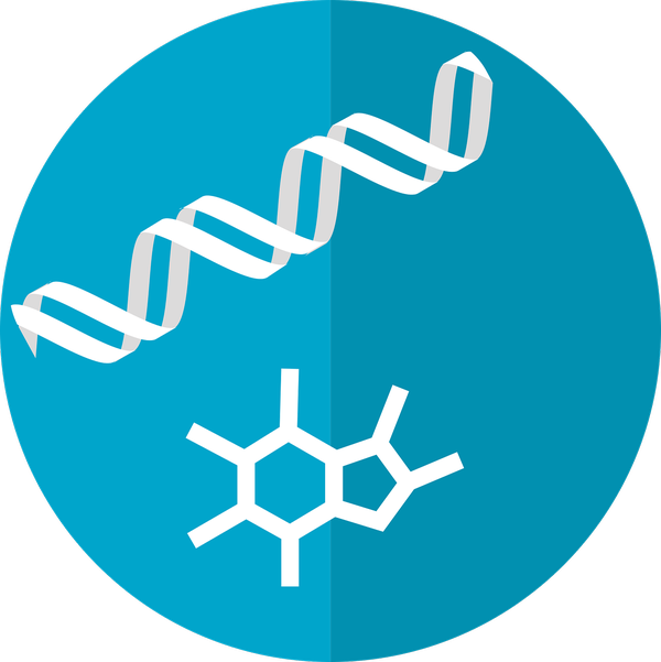  다이어트(diet) : 바이오 해킹(BioHacking) 이란?