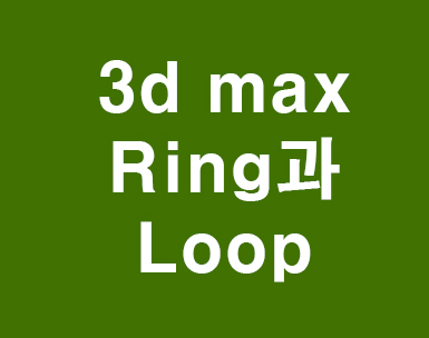 3d max Ring과 Loop 3d max Ring과 Loop