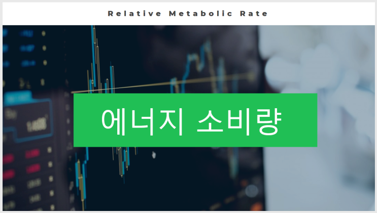 에너지 소비량 Relative Metabolic Rate 에너지 소비량 Relative Metabolic Rate