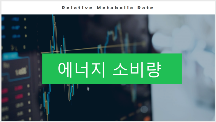 에너지 소비량 Relative Metabolic Rate