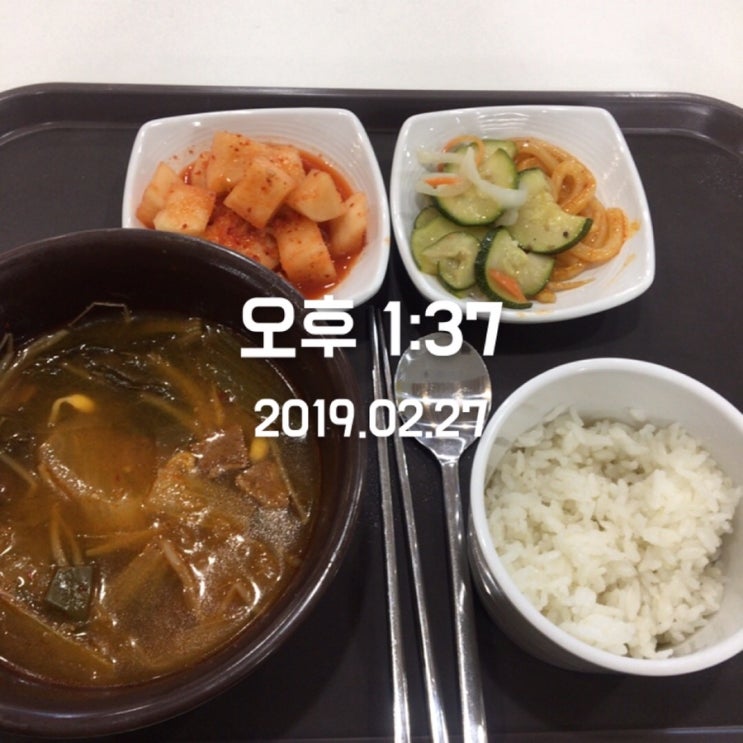  드디어...day 9...20190227