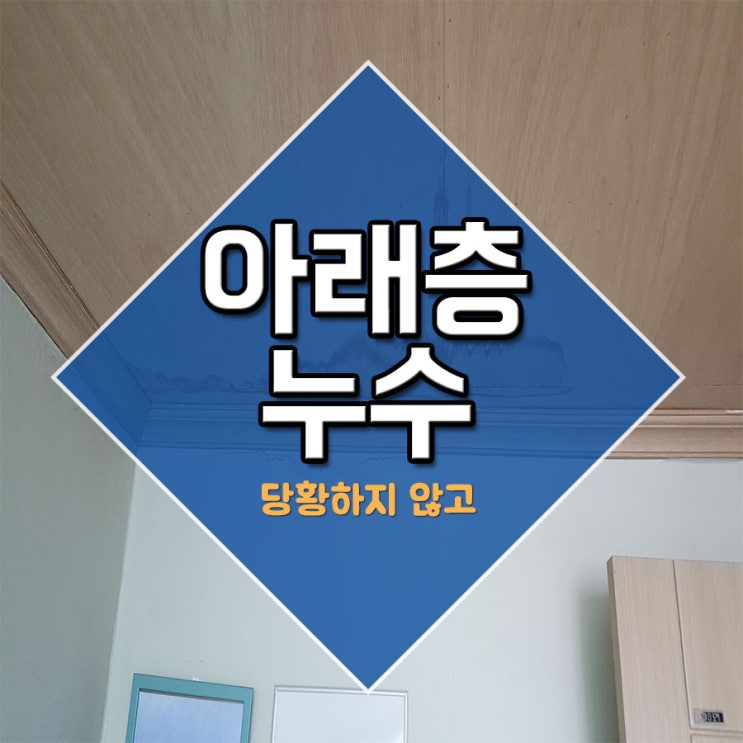  아래층누수 당황하지 않고