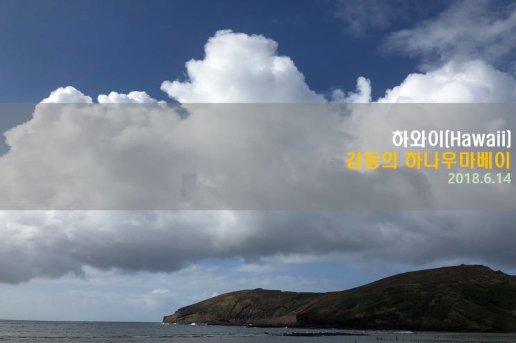  [하와이 여행] 감동의 하나우마베이